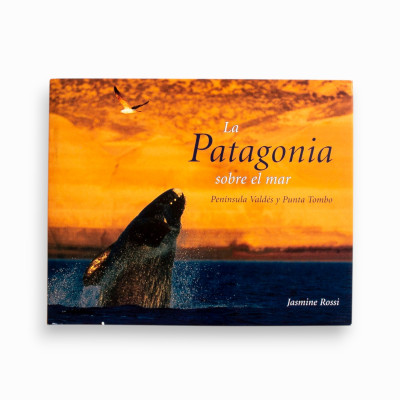 La Patagonia sobre el mar