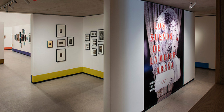 Los sueños de la mujer araña